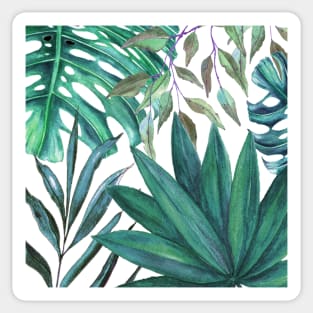 Monstera and palm leaves Sticker